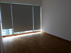 A Treasure Trove (D19), Condominium #98975992